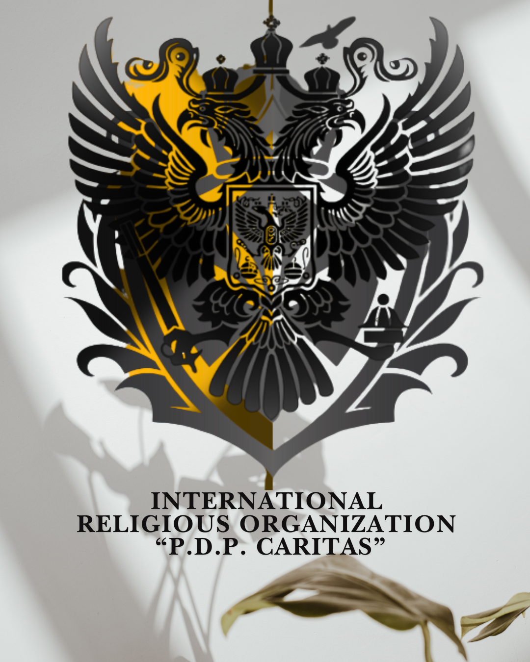PDP Caritas_ Official International Educational Charity Organization